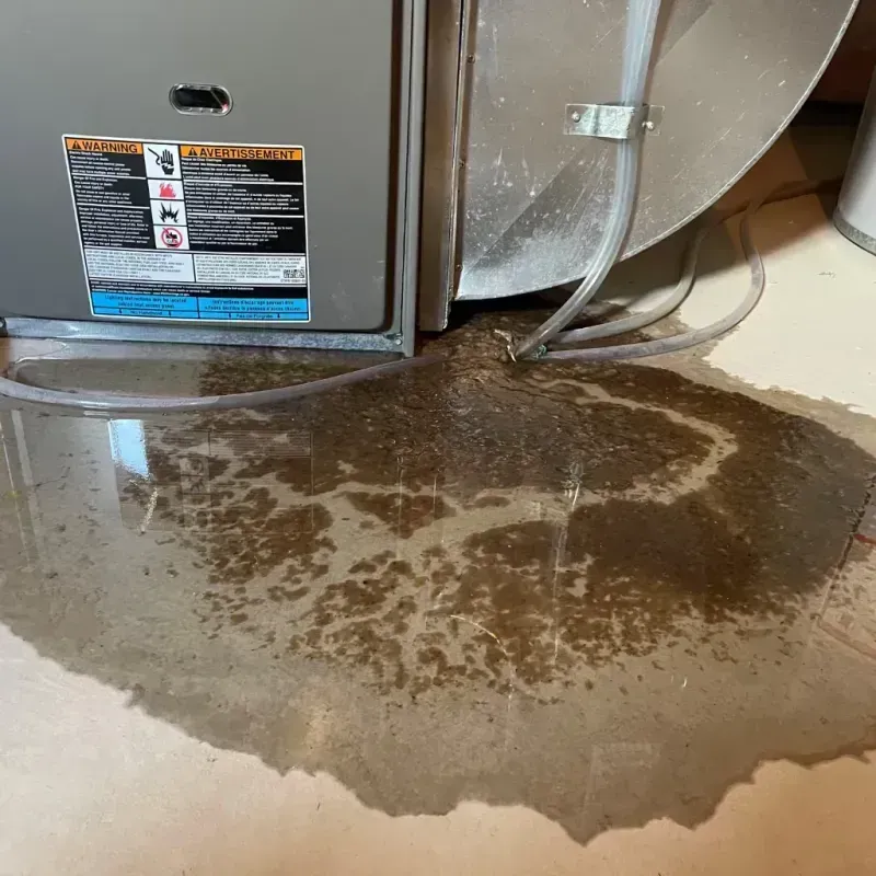 Appliance Leak Cleanup in Ocean City, FL